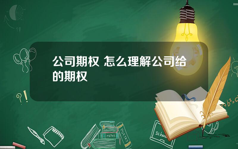 公司期权 怎么理解公司给的期权